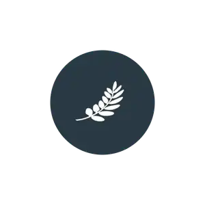 Logo 55